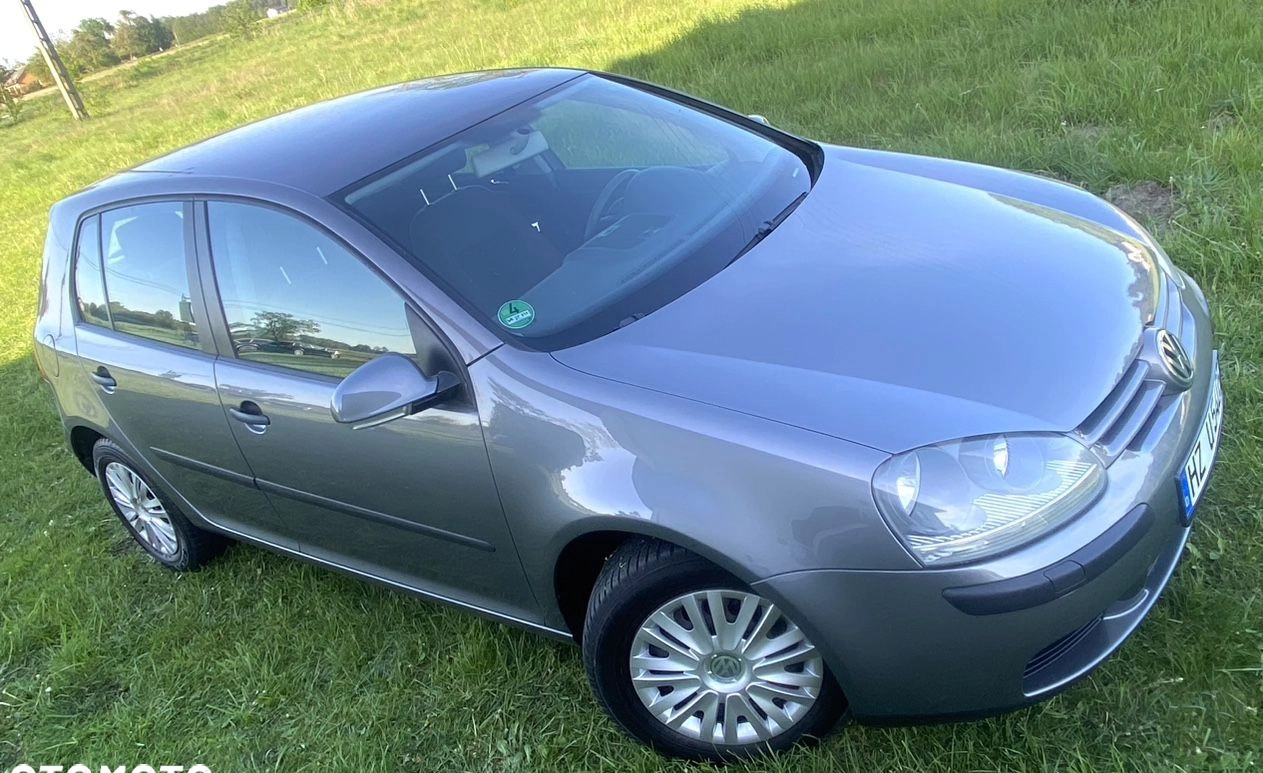 Volkswagen Golf cena 12600 przebieg: 193000, rok produkcji 2004 z Gostynin małe 562